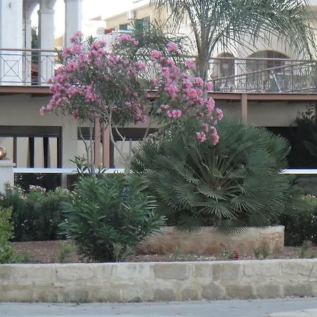 Darlex Galatex Center