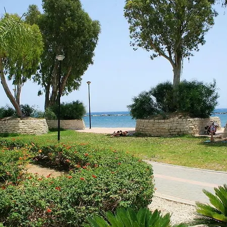 Darlex Galatex Center