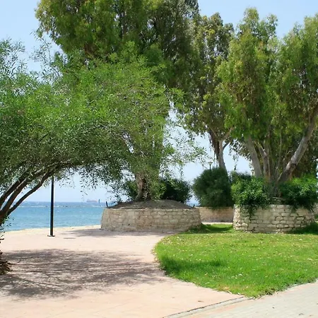 Darlex Galatex Center * 利马索尔