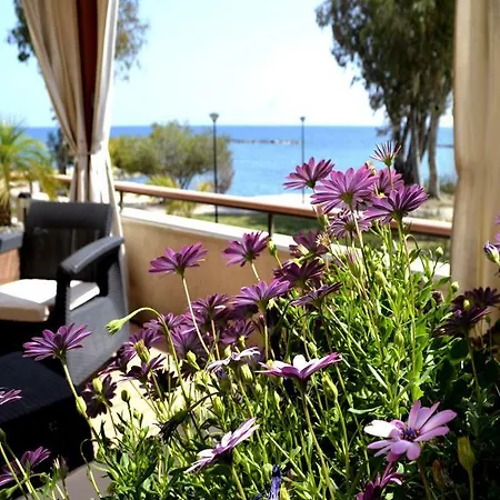 Darlex Galatex Center *