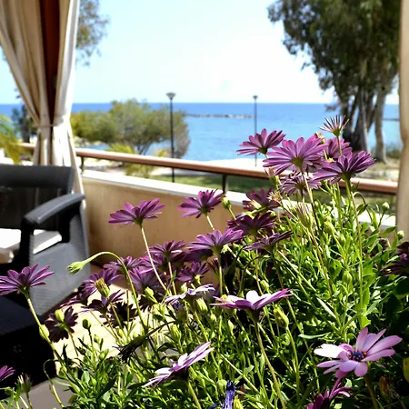 公寓 Darlex Galatex Center *