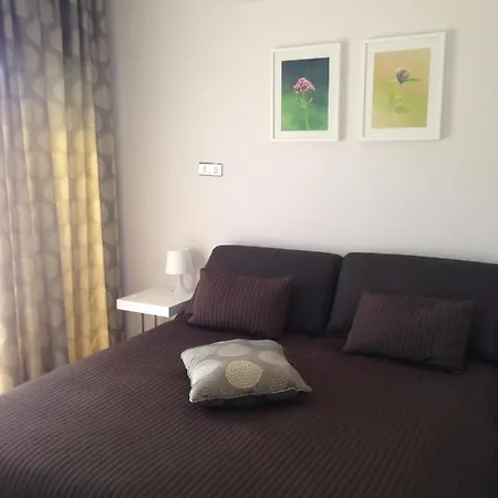 Darlex Galatex Center 公寓