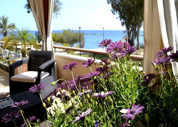 Darlex Galatex Center *