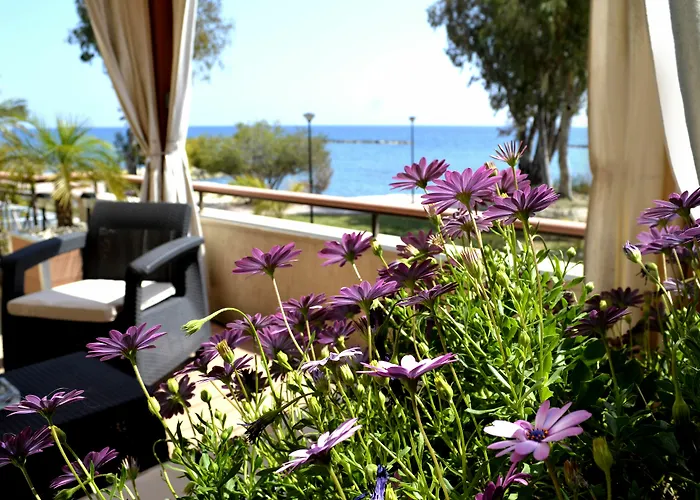 Apartamento Darlex Galatex Center *