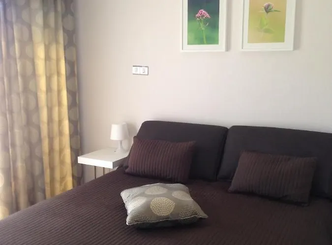 Darlex Galatex Center Apartamento